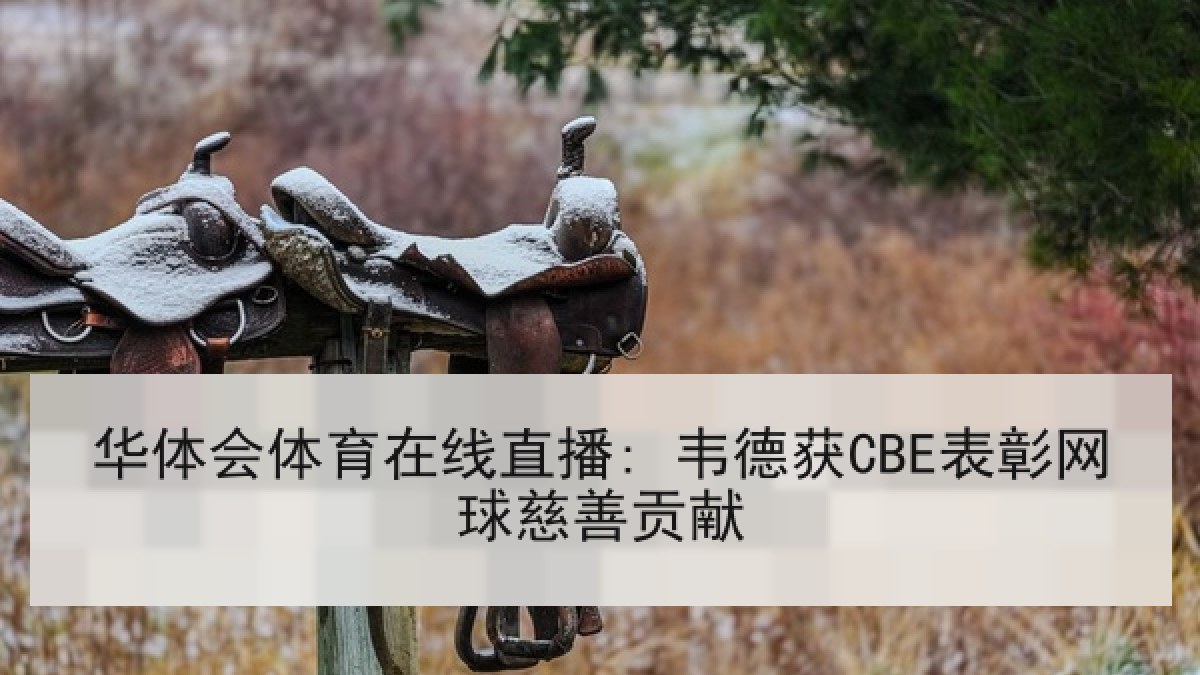 华体会体育在线直播: 韦德获CBE表彰网球慈善贡献